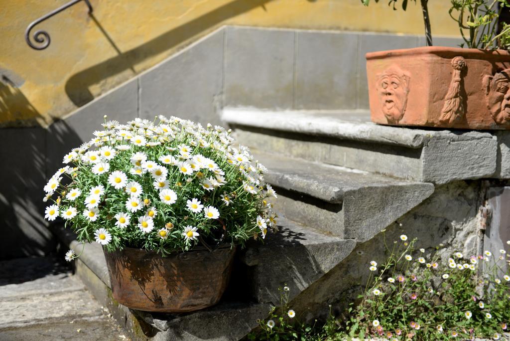 Locanda Giolica Прато Экстерьер фото
